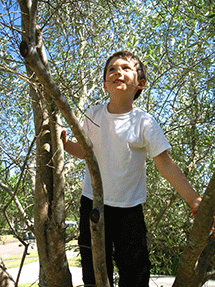 zach in a tree